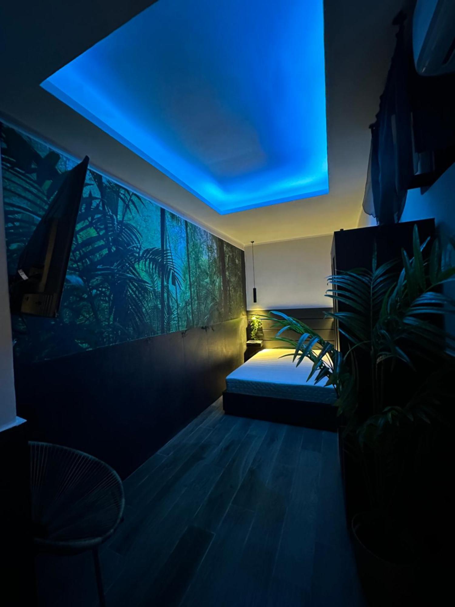Falco Luxury Apartment