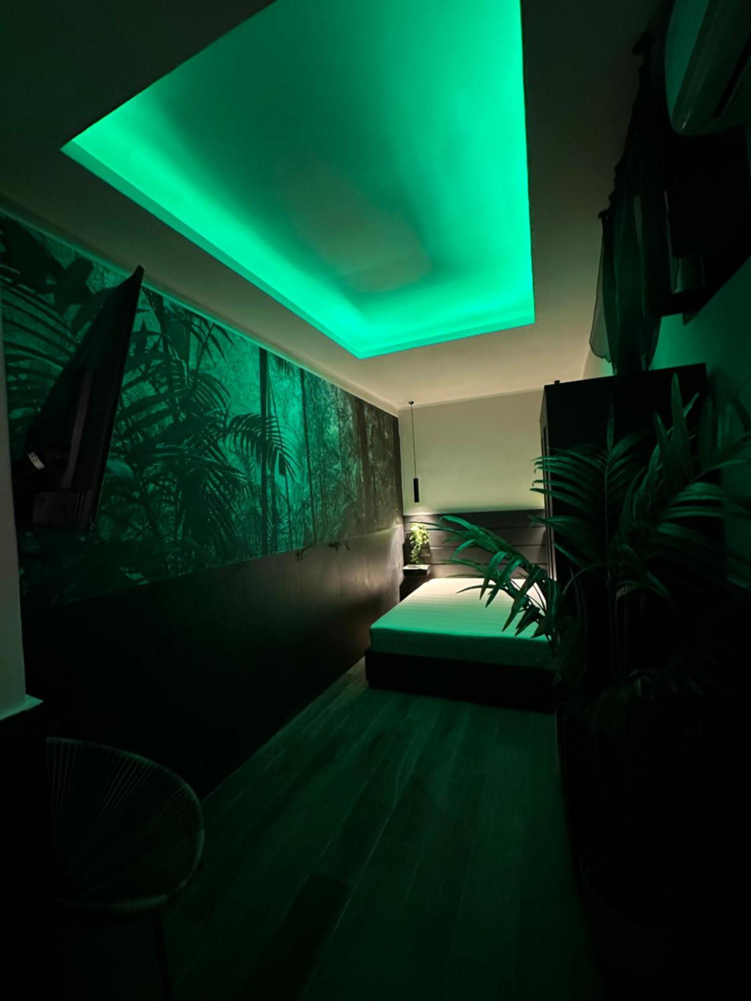 Falco Luxury Apartment